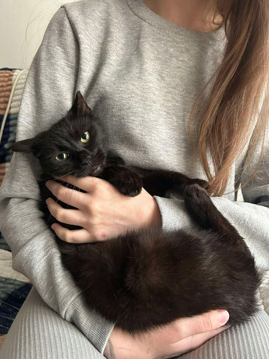 Cudowny Bakuś szuka kochającego domu