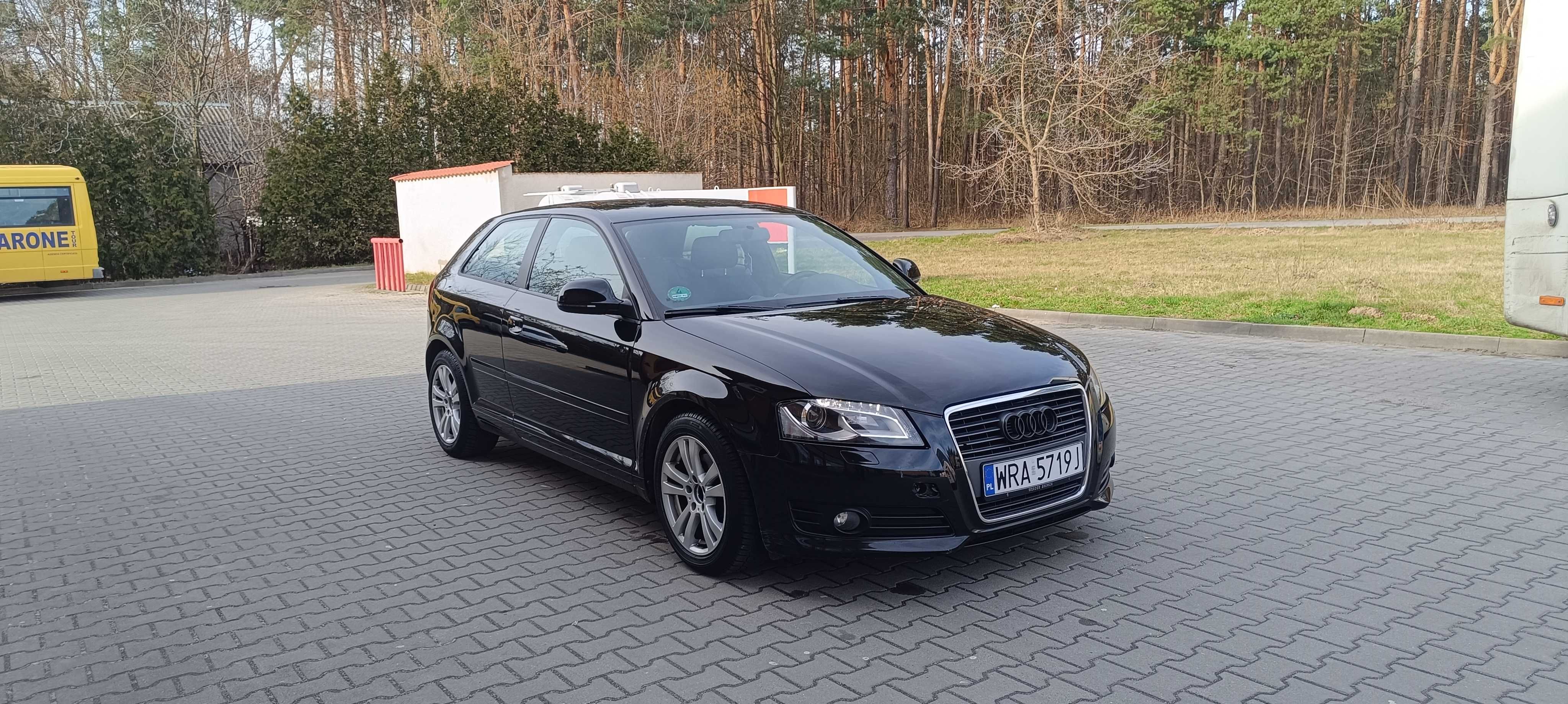 Audi A3 Orginalny lakier Diesel