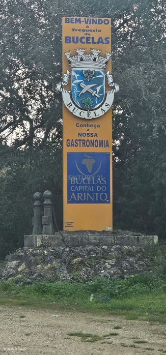 Terreno em Loures: 14.240m² com Vista Campestre e Frutais