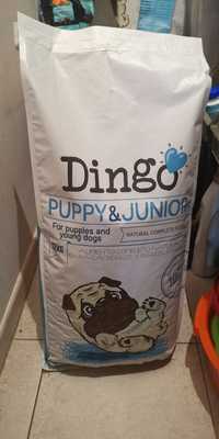 Ração Dingo puppy 12kg