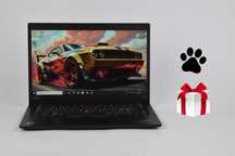 Lenovo ThinkPad X395 R5 Pro 3500U 16 гб 256/512/1 тб 13.3" IPS Ноутбук
