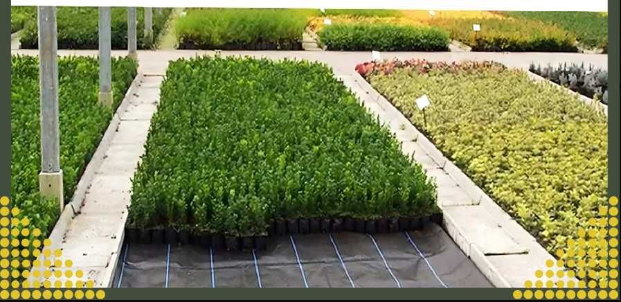 AGROWŁÓKNINA 90G 1,1x50m czarna agrotkanina + kotwy