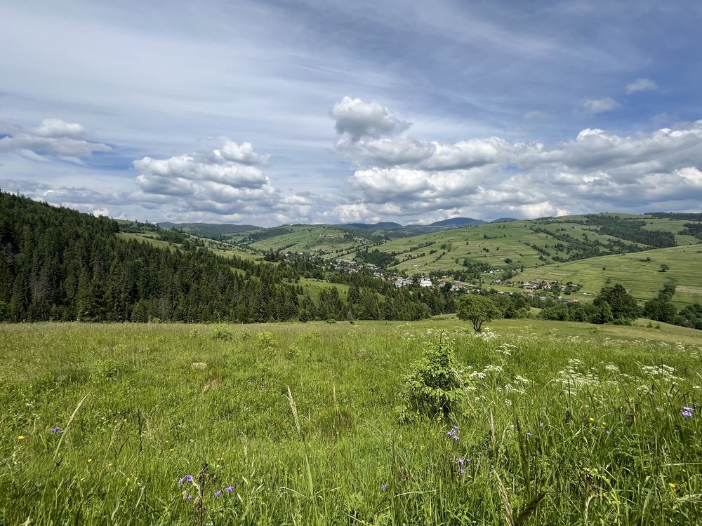 Земельна ділянка у Карпатах