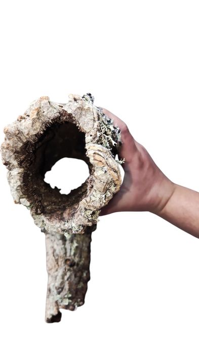 Кора пробкового дерева, декор для террариума, рептилий, птицеедов 40см