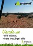 Fardos Feno Pequeno