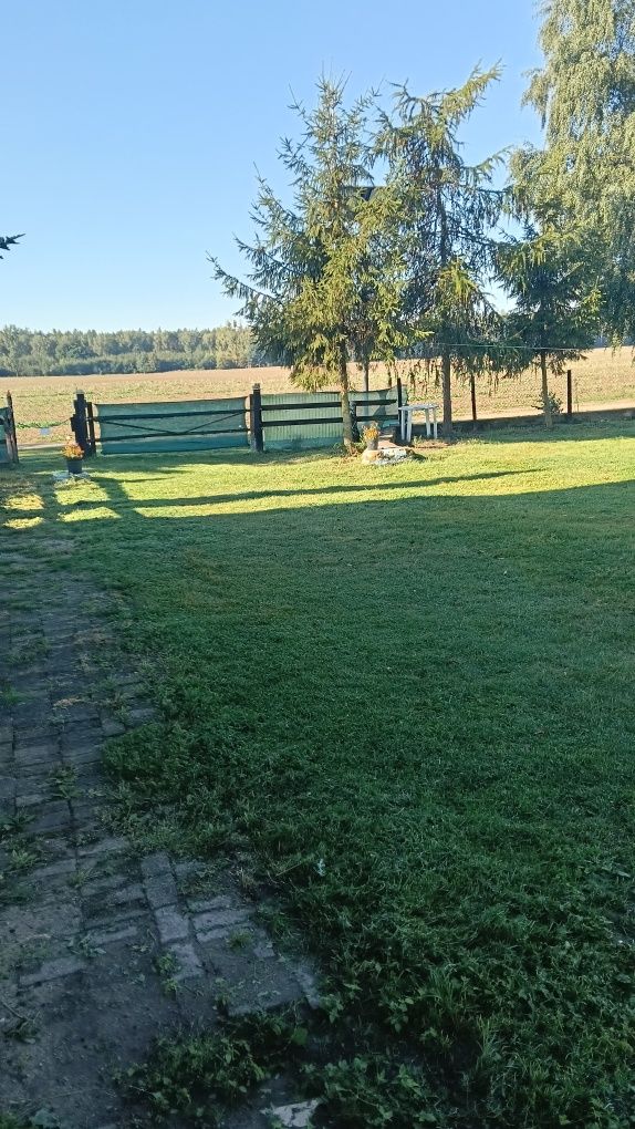 Części do skuterów 2t i 4 t