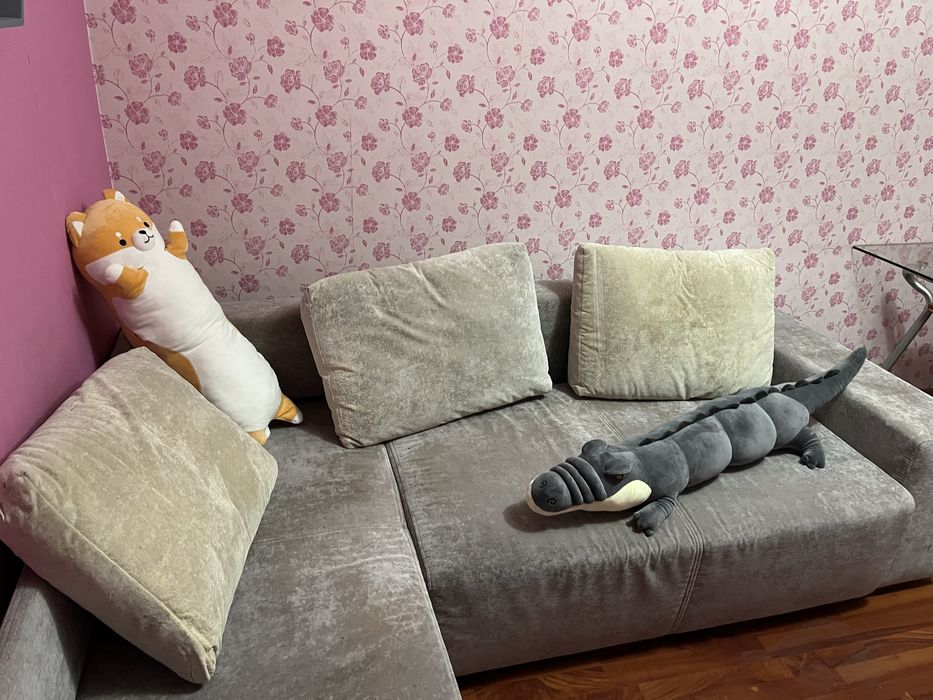 Здам кімнату. Початок Червоноі калини. Господиня