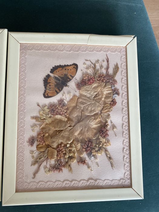 2 Quadros antigos borboleta e plantas