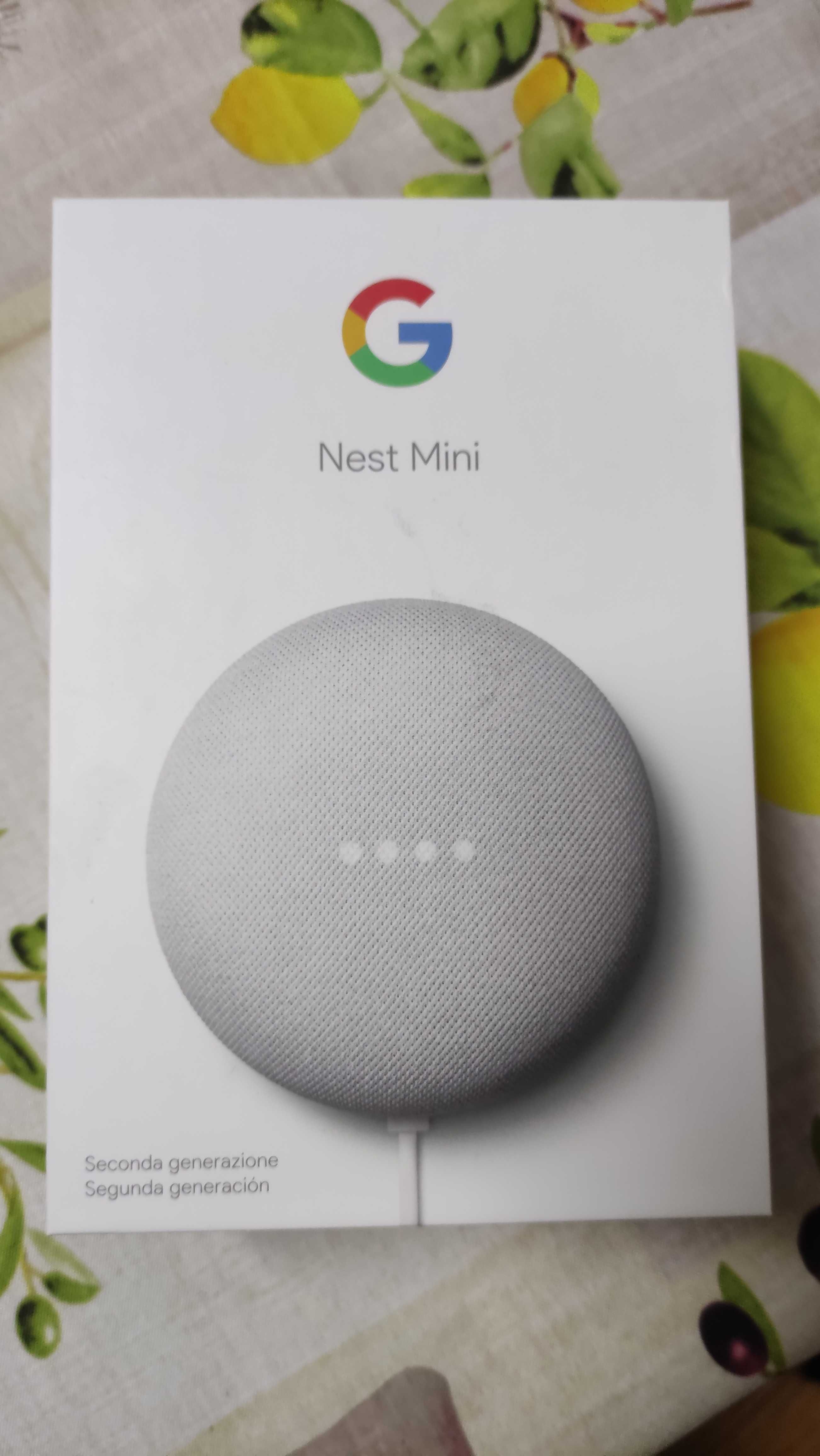 Google Neste Mini