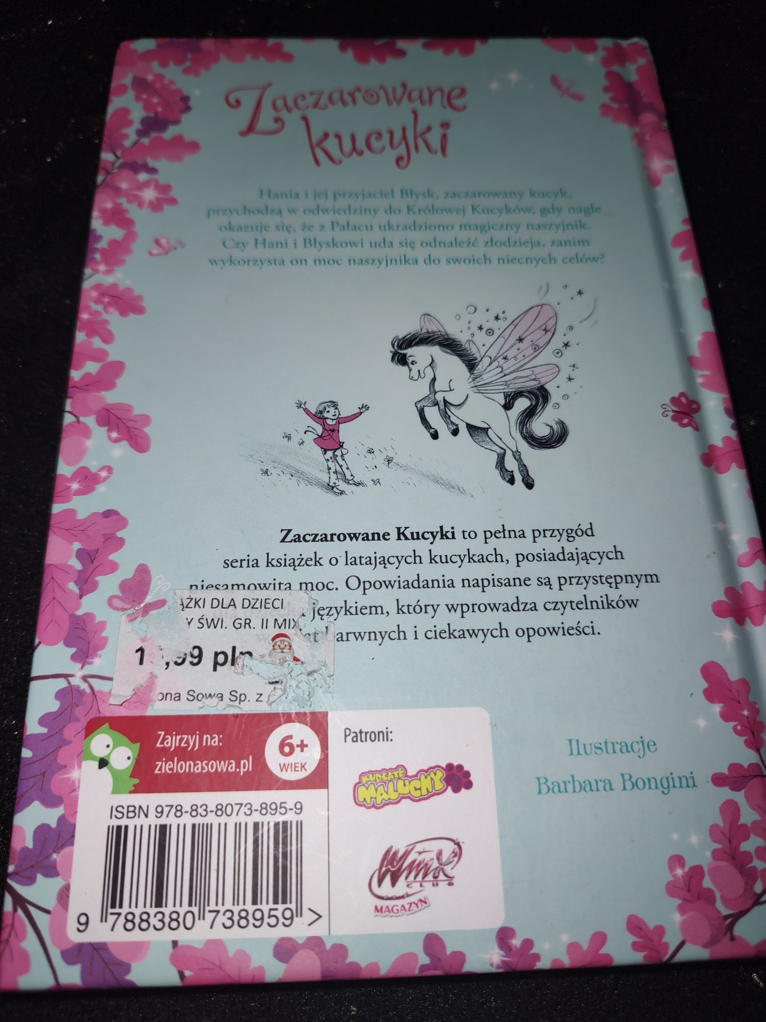 Książka Zaczarowane kucyki