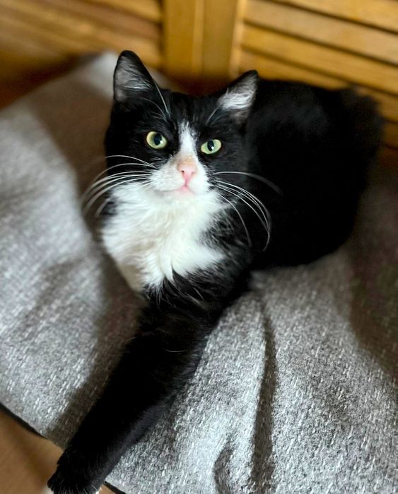 Jasio błaga o szanse i dom..