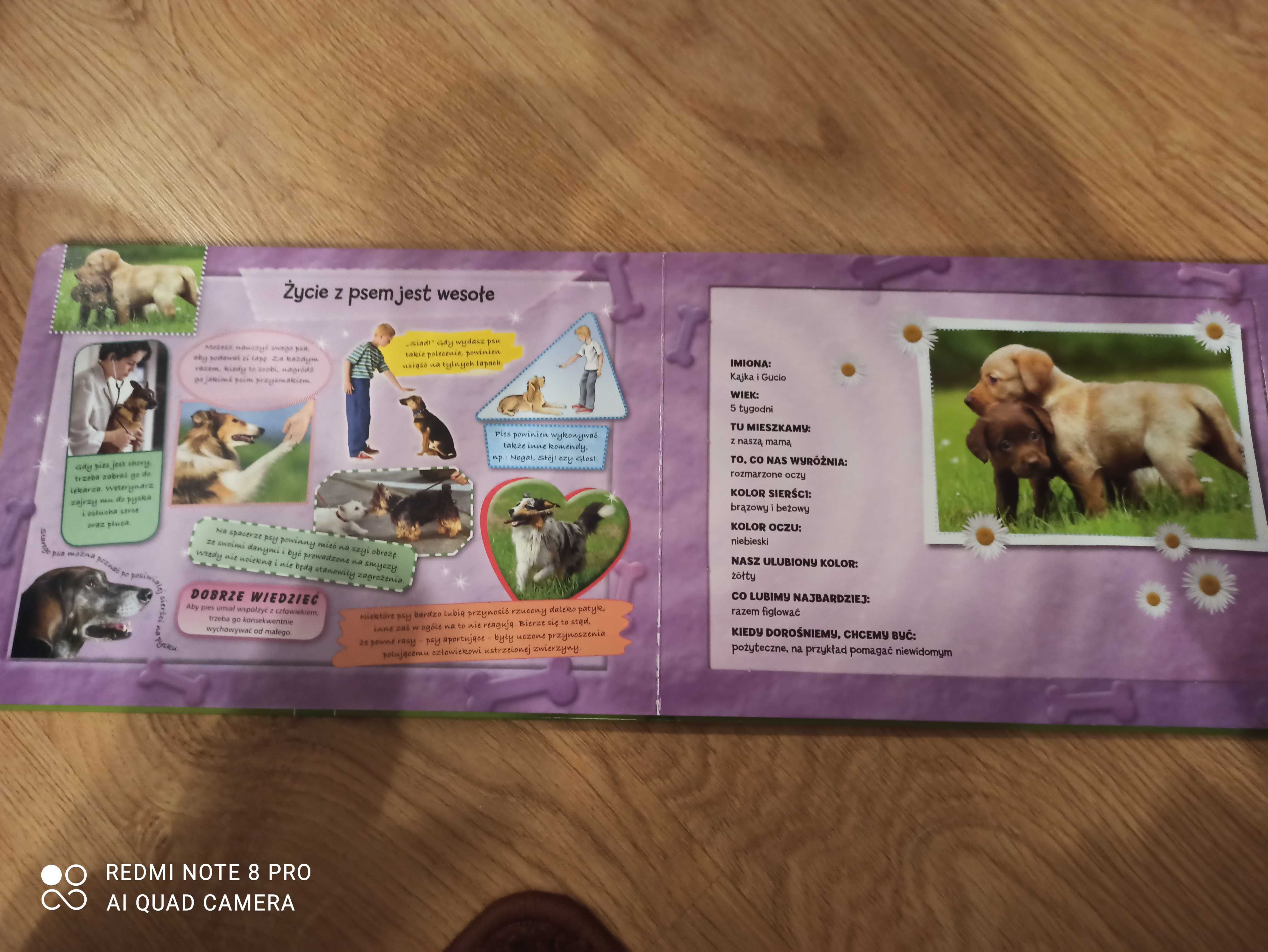 Książka z puzzlami- zwierzęta domowe