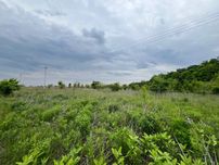 Земля, земельна ділянка 14га, Вітачов, Стайки, Обухівський р-н, без %