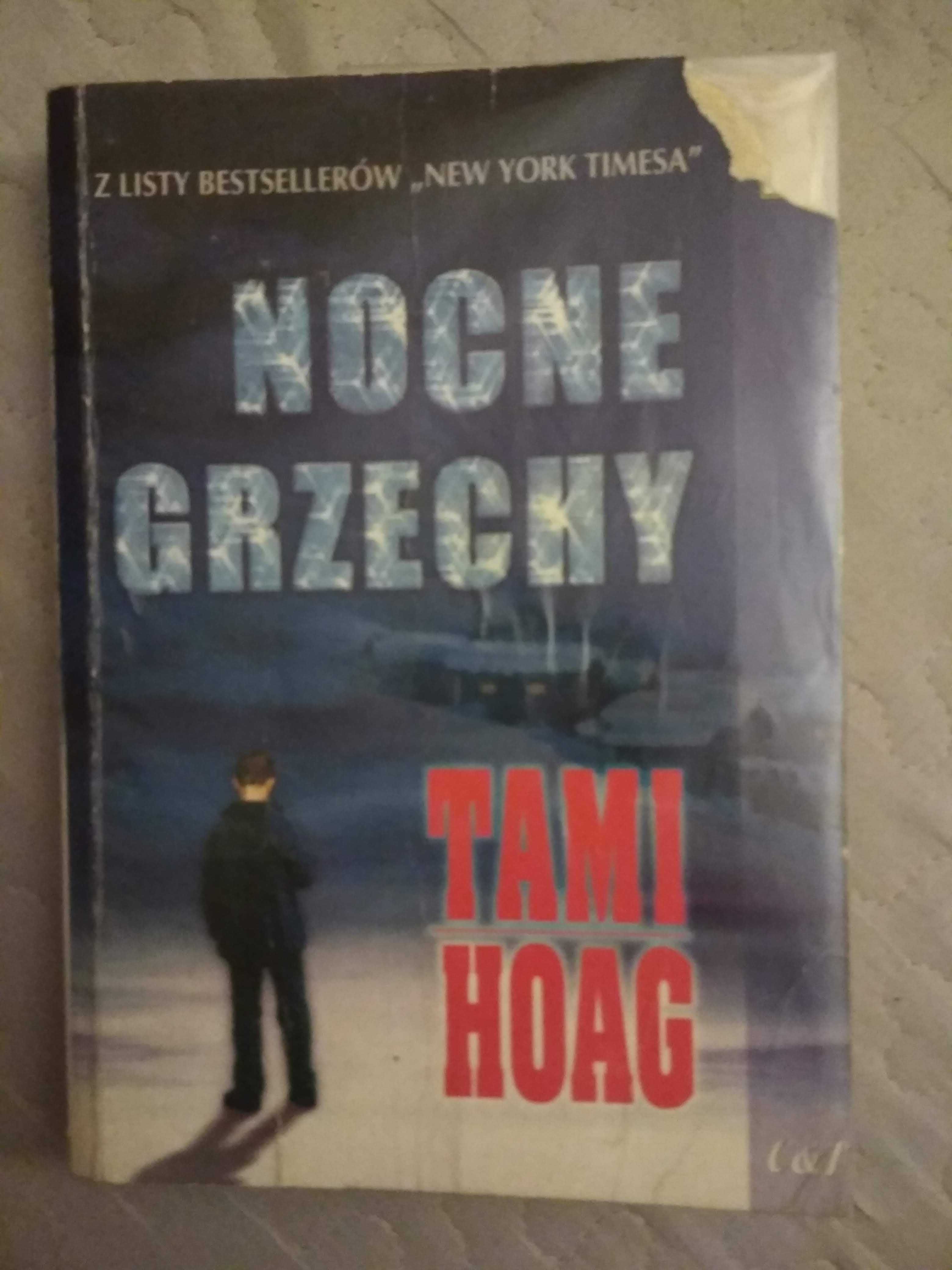 książka Nocne grzechy Tami Hoag / sensacja, thriller