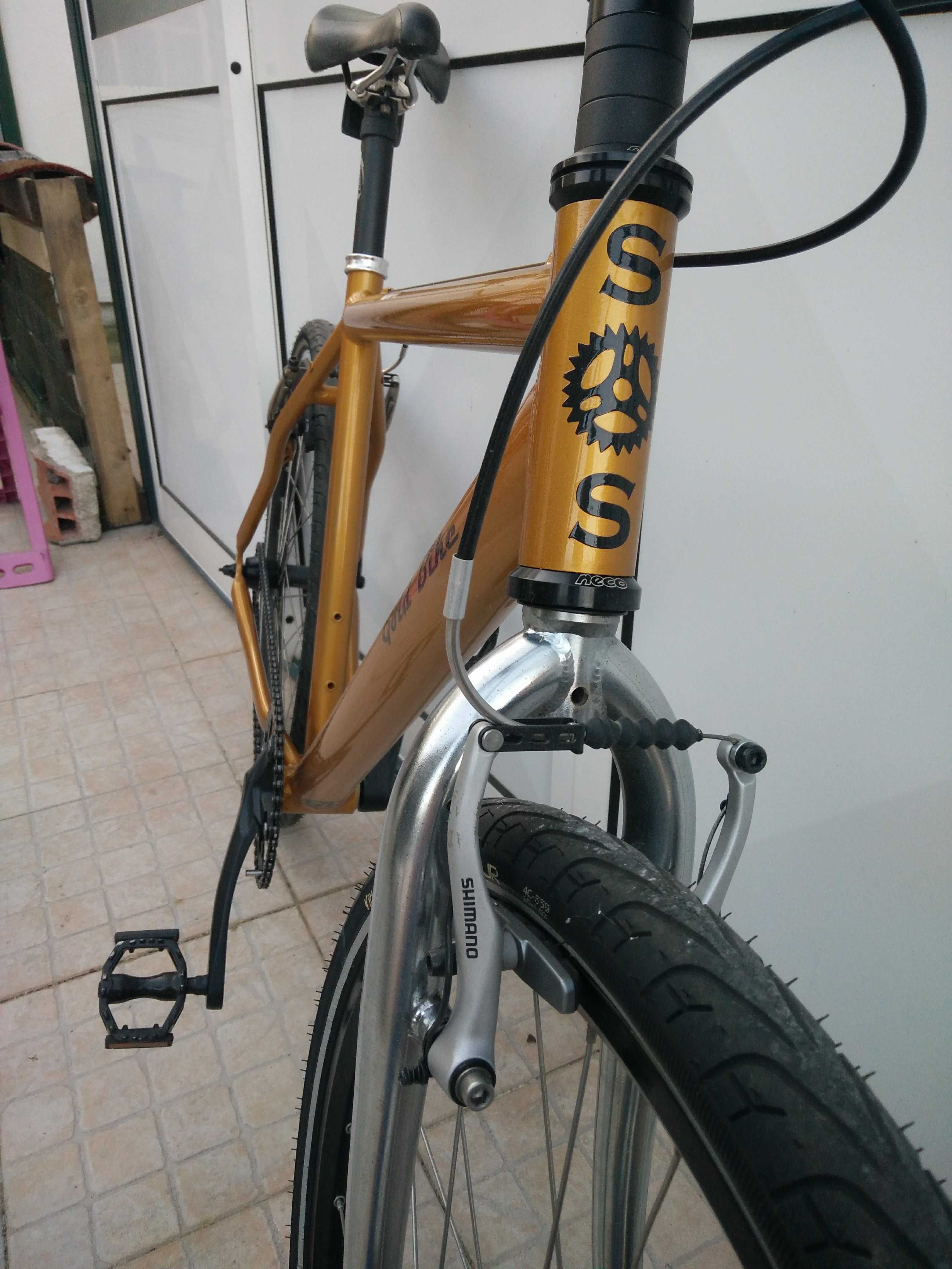 Bicicleta single speed