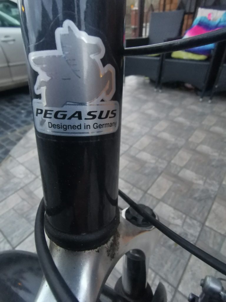 Rower męski Pegasus