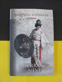 Yasunari Kawabata - Terra de neve