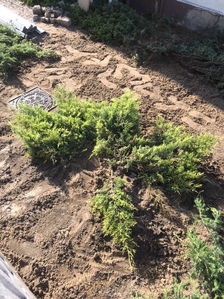 elewacje budynków/ przydomowe oczyszczalnie biologiczne i drenażowe