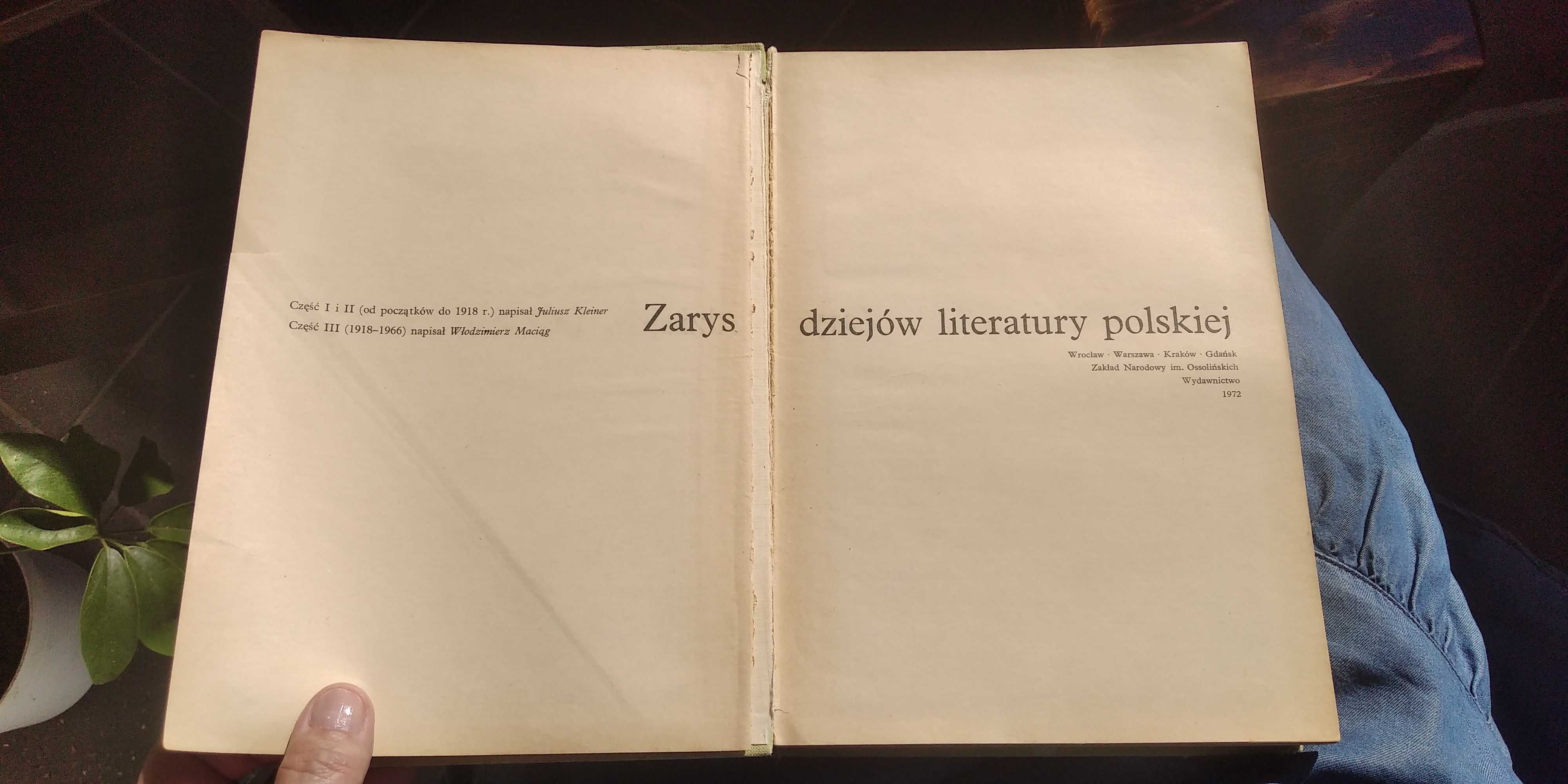 Sprzedam książkę pt." Zarys dziejów literatury polskiej" Kleiner 1972