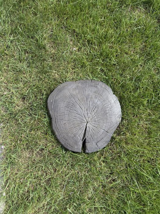 Pień betonowy ozdoba do ogrodu 40 cm