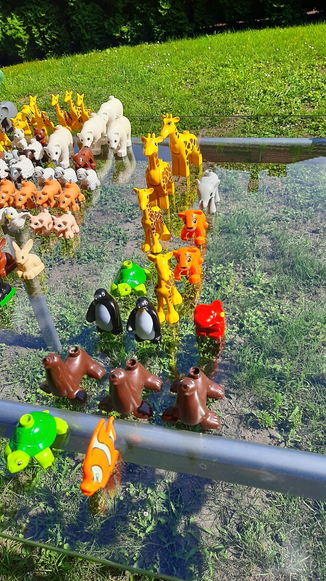 Ponad 200 zwierząt lego duplo