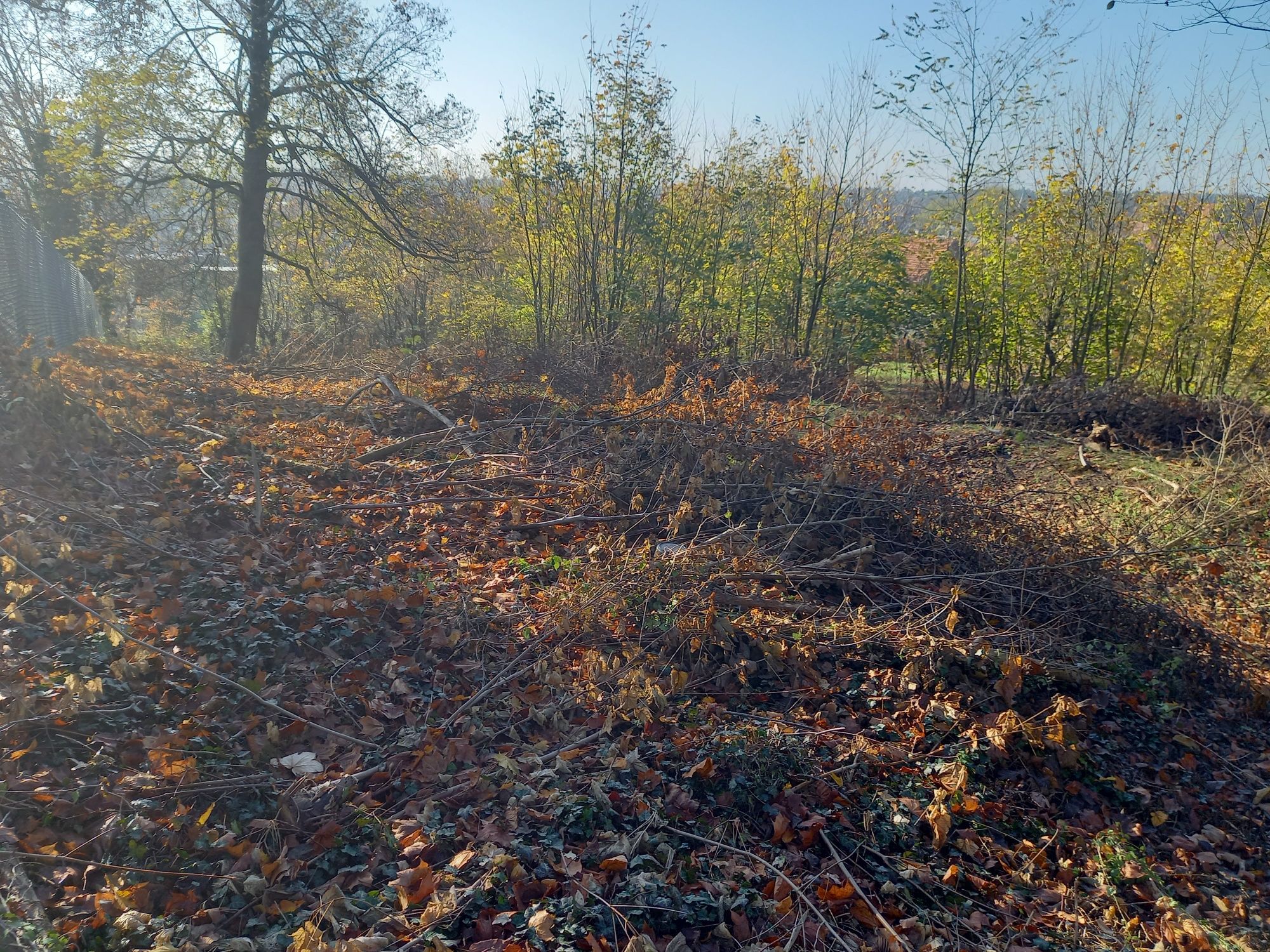 Działka budowlana 0,2450 ha, Otynia, Bobrowniki - przy rezerwacie B