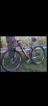Vendo bike BTT Trigon - Toda em Carbono!