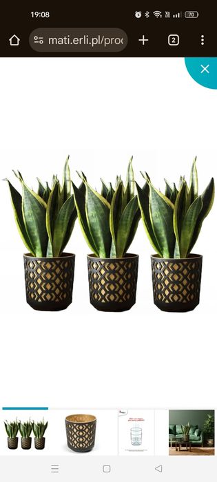 Sprzedam 3 doniczki aztek Lamela duże