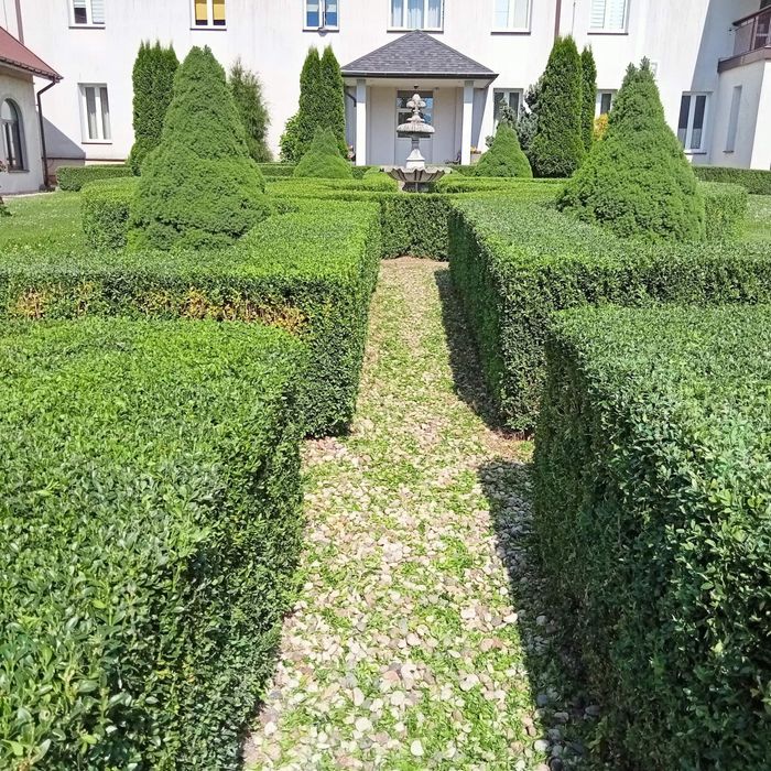 Usługi ogrodnicze glebogryzarka seperacyjna