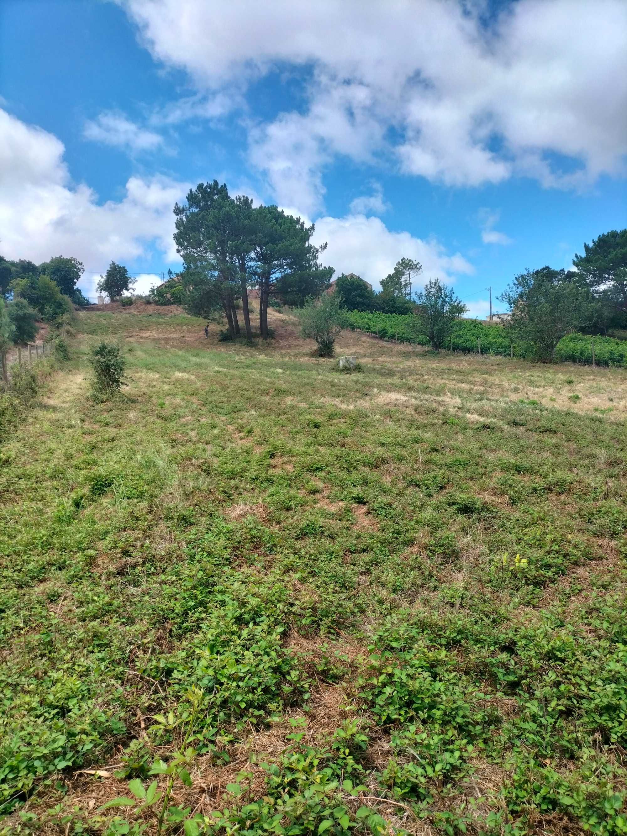Moradia em terreno com 4080m²
