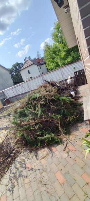 Вивіз сміття Святопетрівське, Вивіз сміття Боярка, Вивіз сміття Київ