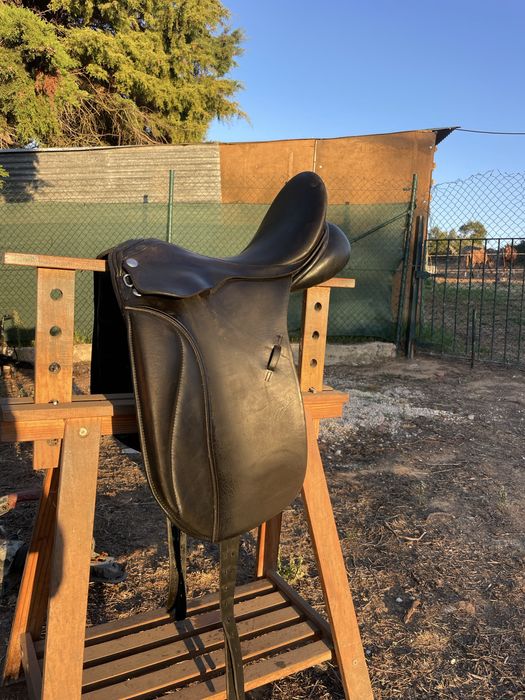 Cavalo lusitano Selim de ensino zaldi