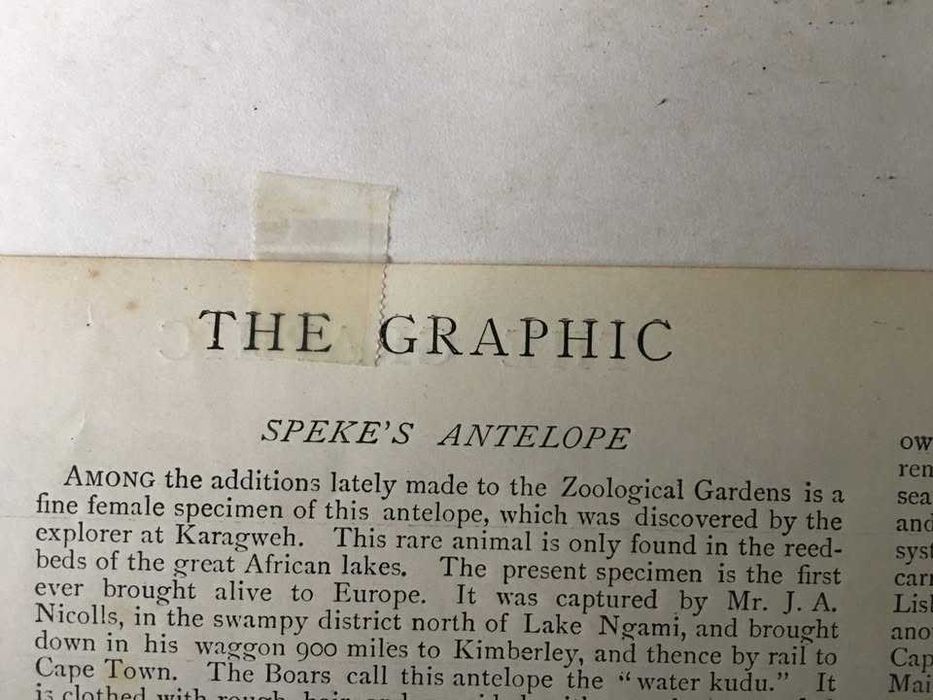 Litografia do Sec.XIX (1890)