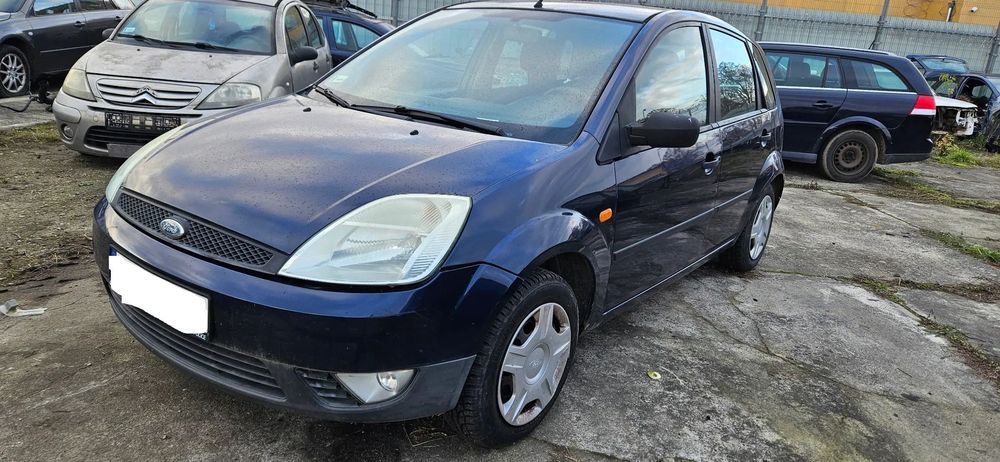 Ford Fiesta Mk6 1,25 b 55kW 75KM 2004r 5d hatchback 5-bieg manual lakier W3