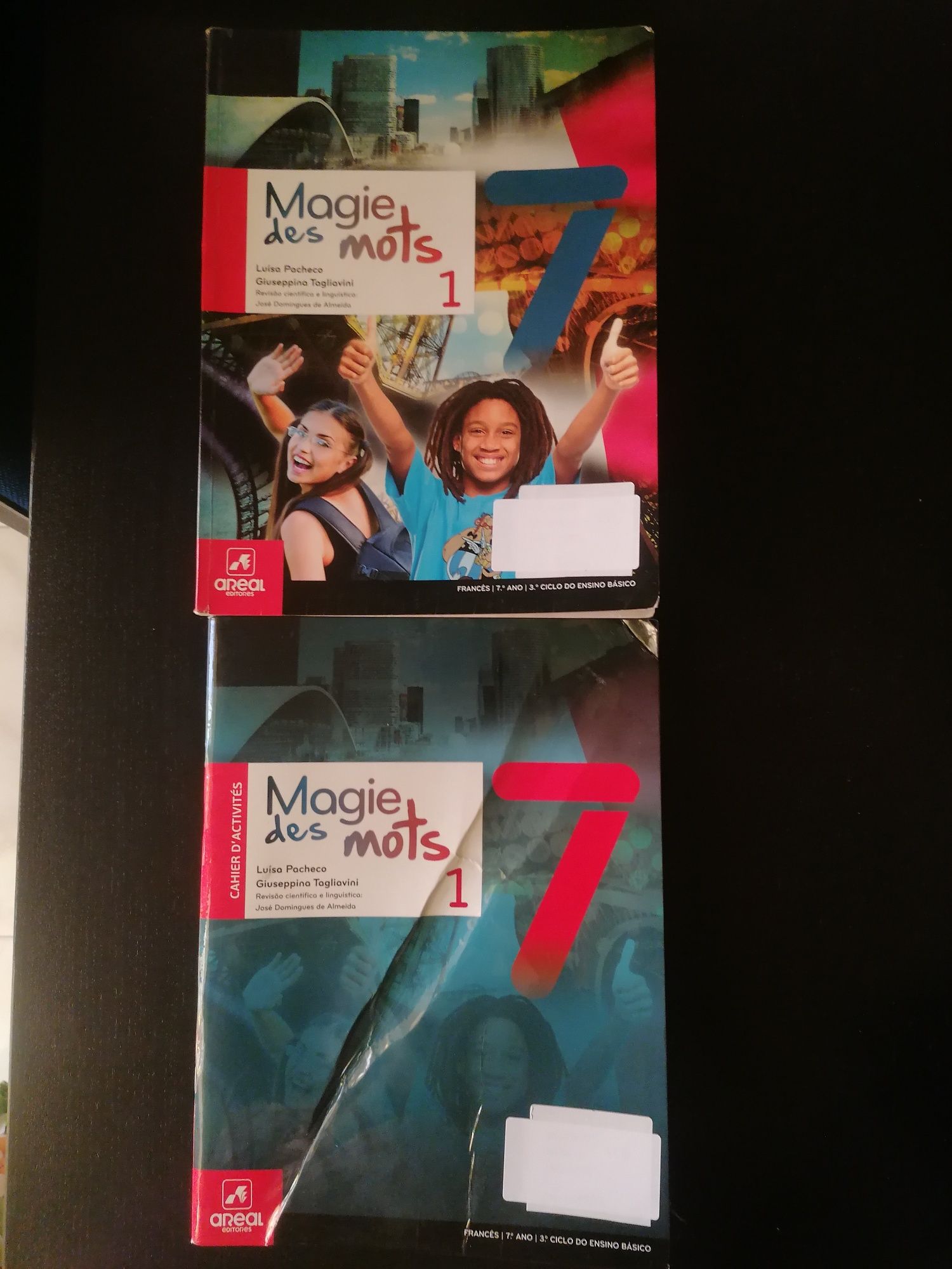 Manuais e livros de fichas 7° ano excelente estado