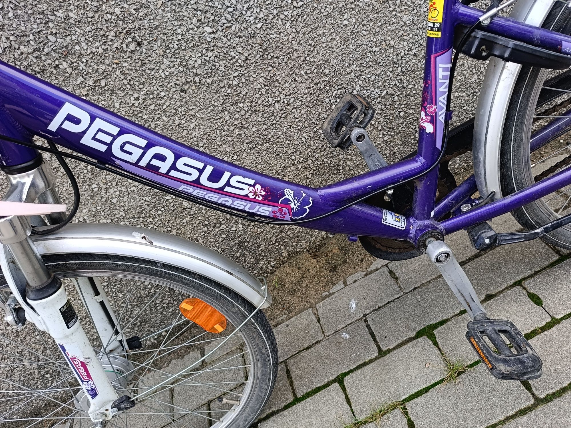 Rower Pegasus Avanti 24"