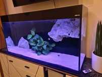 Akwarium aquael glossy moduly BTM 3 filtry zewnetrzne