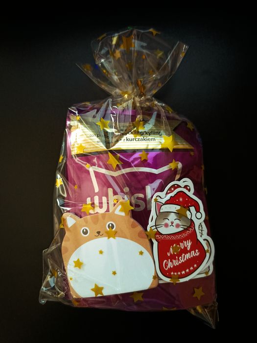 Świąteczna paczka dla kota