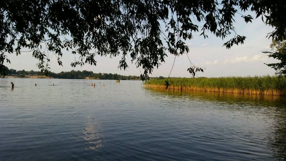 Wynajmę domek letniskowy nad jeziorem Białe