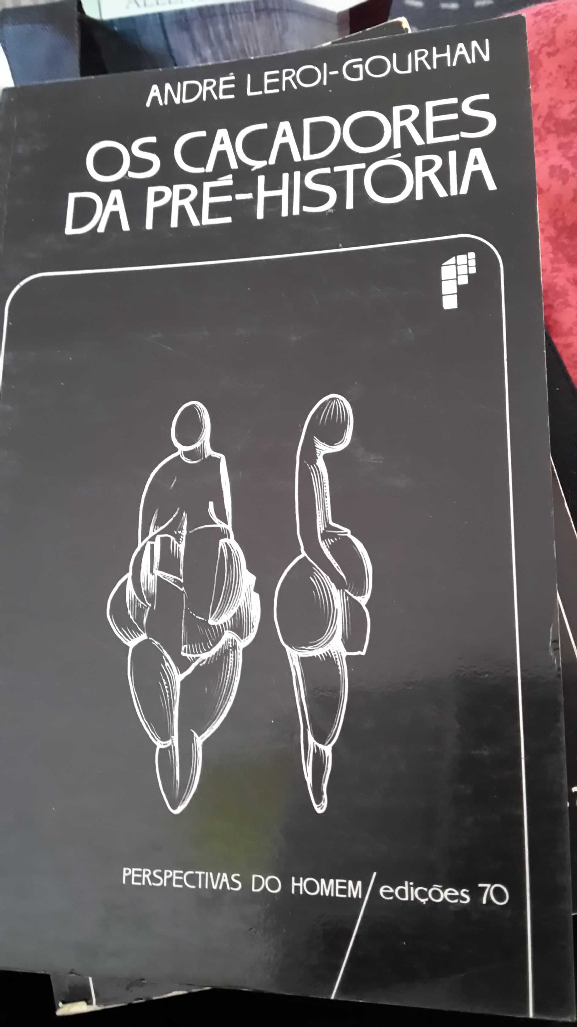 Primeiro grupo de 9 livros