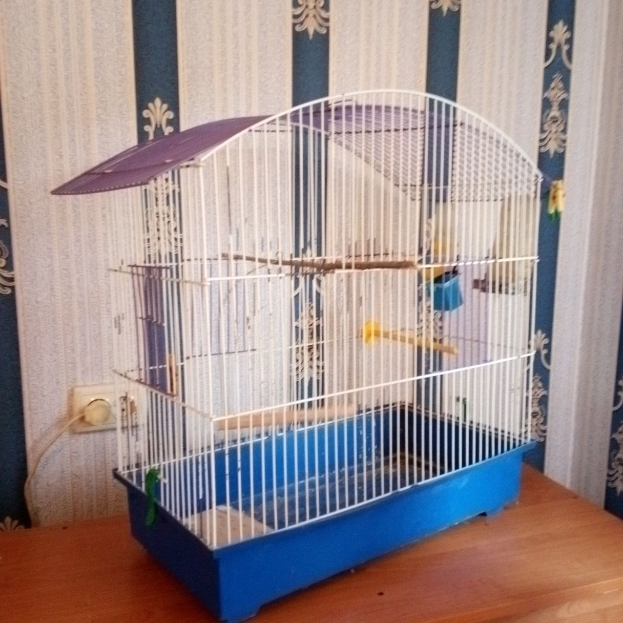 Клітка для попугаїв