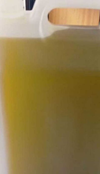 Azeite puro transmontano Mirandela 5L 45€