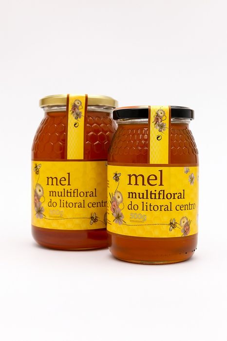 Mel multifloral do litoral centro