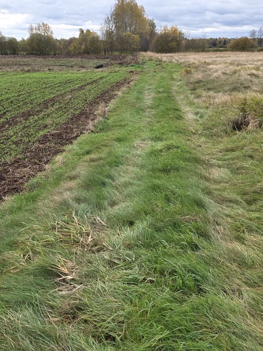 Działki orne uprawne