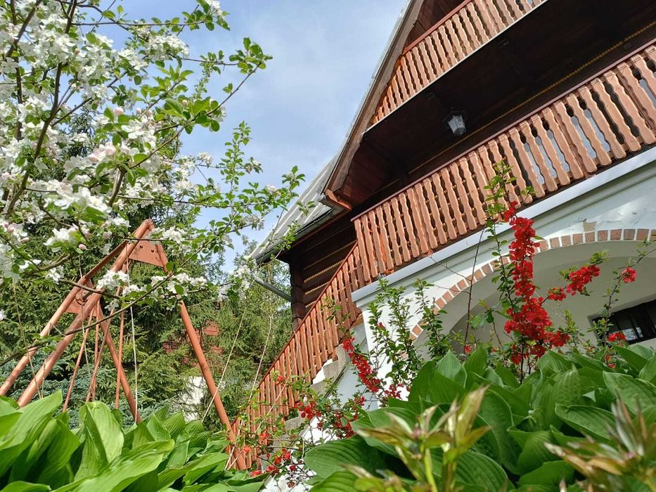 Domek z bala: Chata Górska MATYLDA (sauna, grill, ogród).