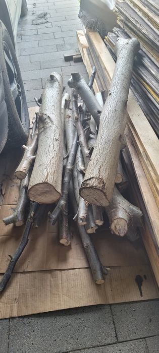 Drewno orzech do wędzenia na grilla Toruń Ciechocinek