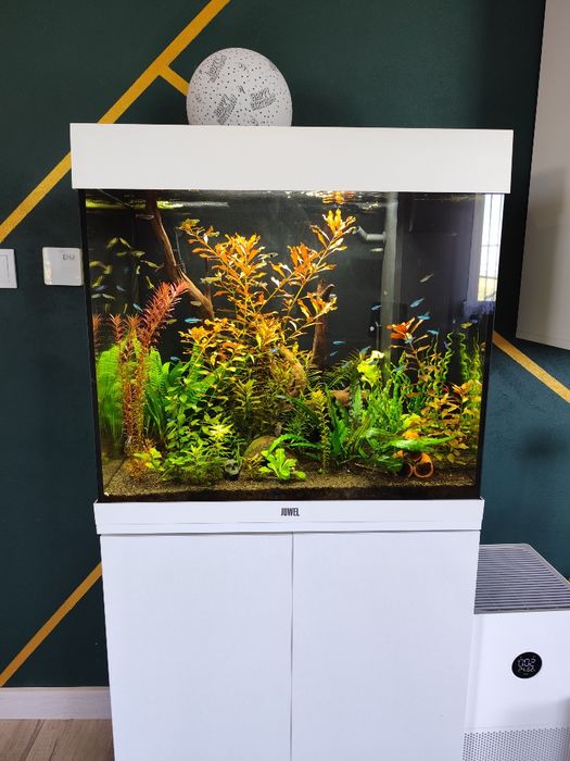Belka lampa LED Oświetlenie akwarium Fluval
