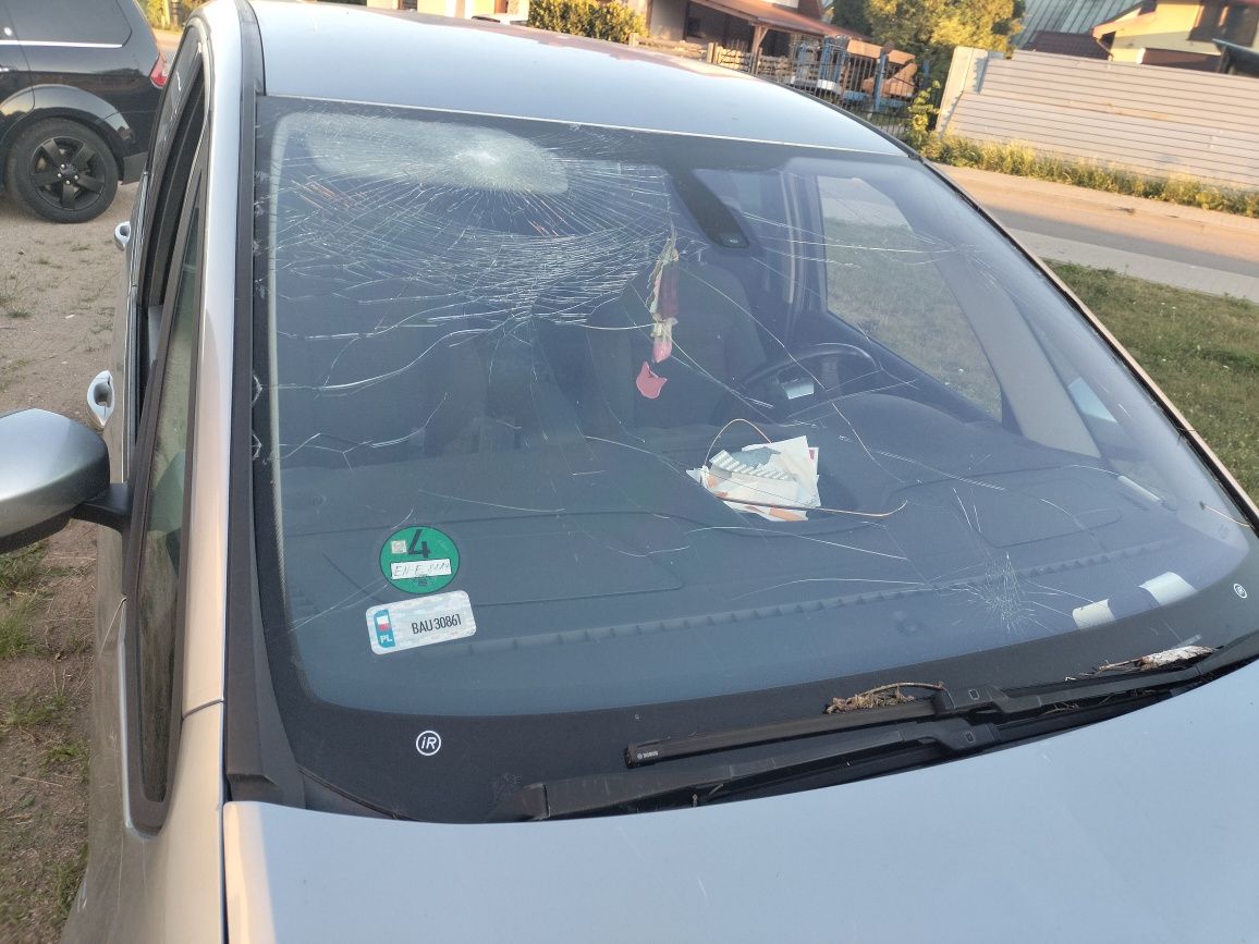 Ford S-Max 2.0 tdci
