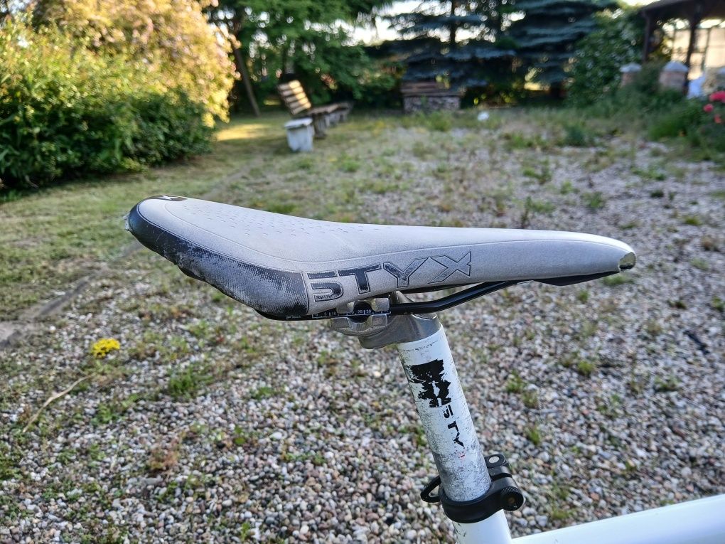 Rower Bulls King Cobra