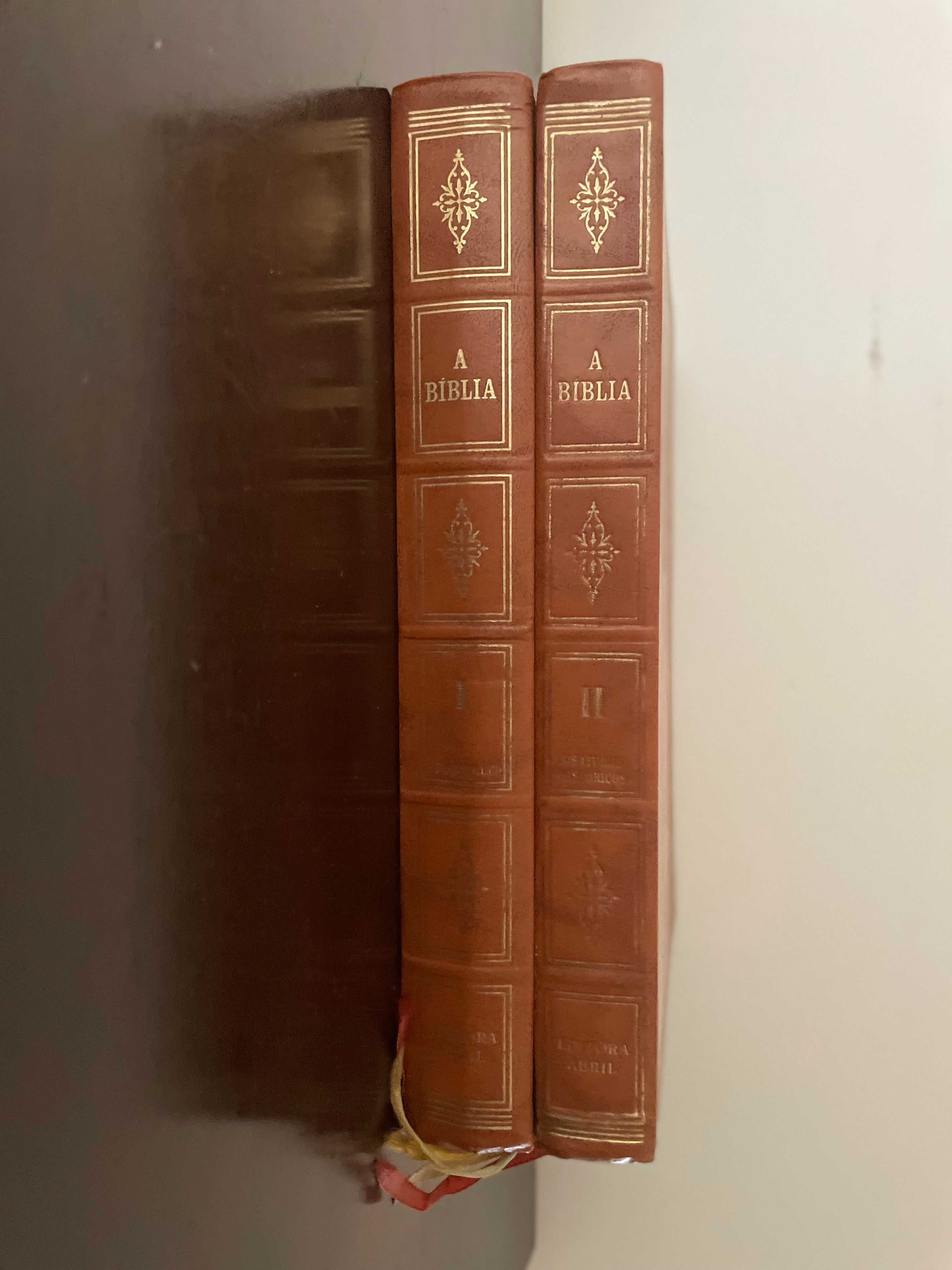 A Biblia ilustrada - Antigo e Novo testamentos (2 Volumes)